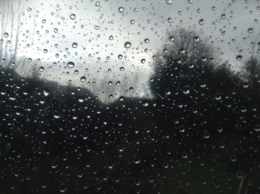 Droplets of Rain on Glass