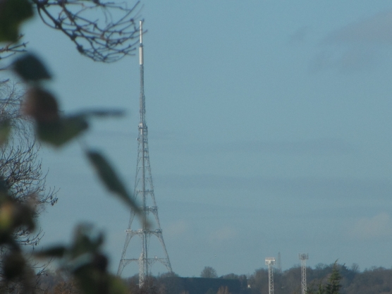The Crystal Palace Tower in Broad Daylight - Taken Yesterday
